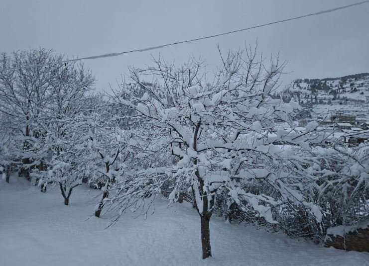 बैतडी,हुम्ला बाग्लुङ लगायतका जिल्लामा हिमपात